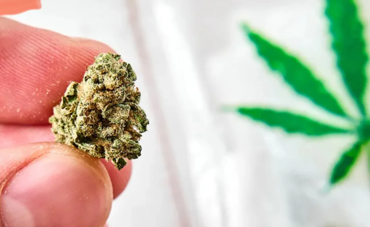 Personality Return – CBD