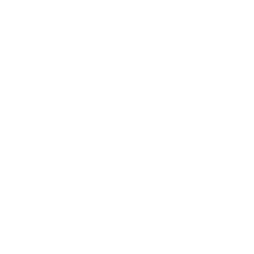 Coach zum Ziele erreichen 