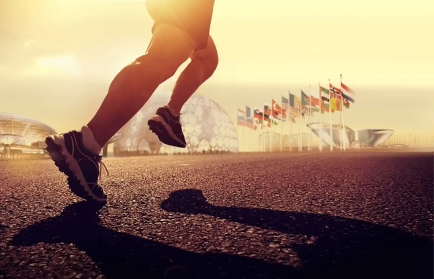 Individuelles Coaching